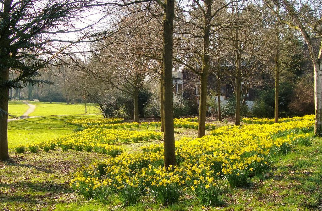 Vivere Ad Parcum - Bed And Breakfast Krefeld Exteriör bild